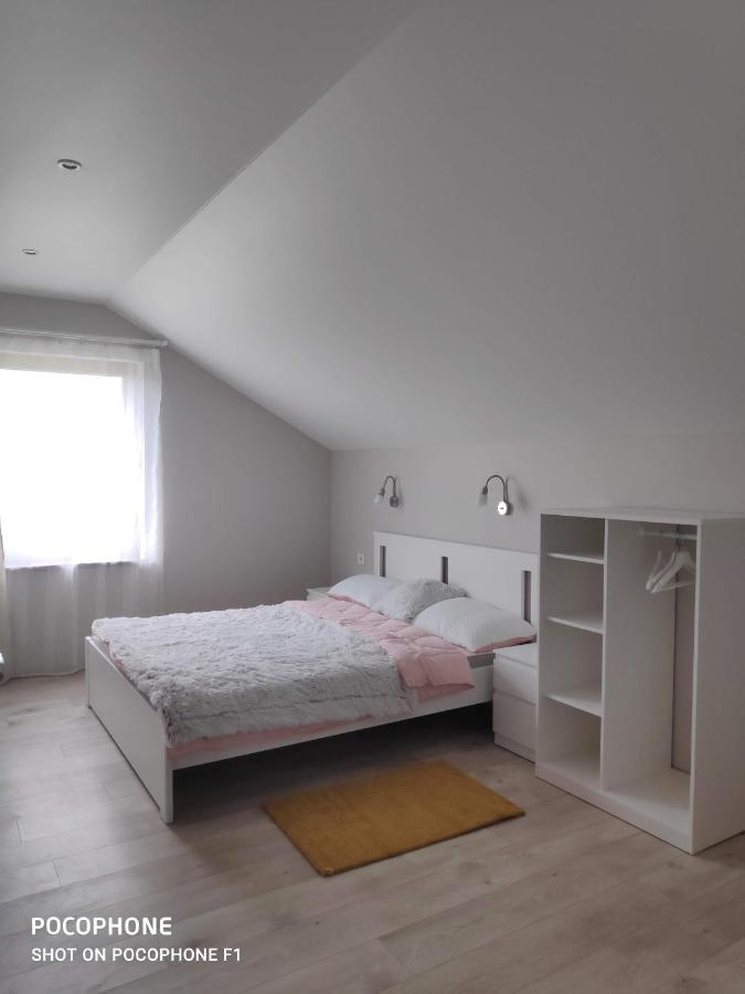 Domo Vila دروسكينينكاي المظهر الخارجي الصورة